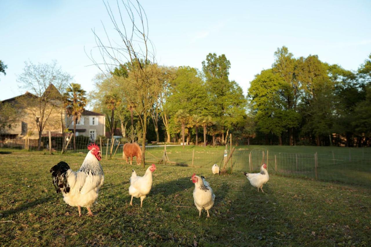 Bed & Breakfast Chateau Saint Martin 3*