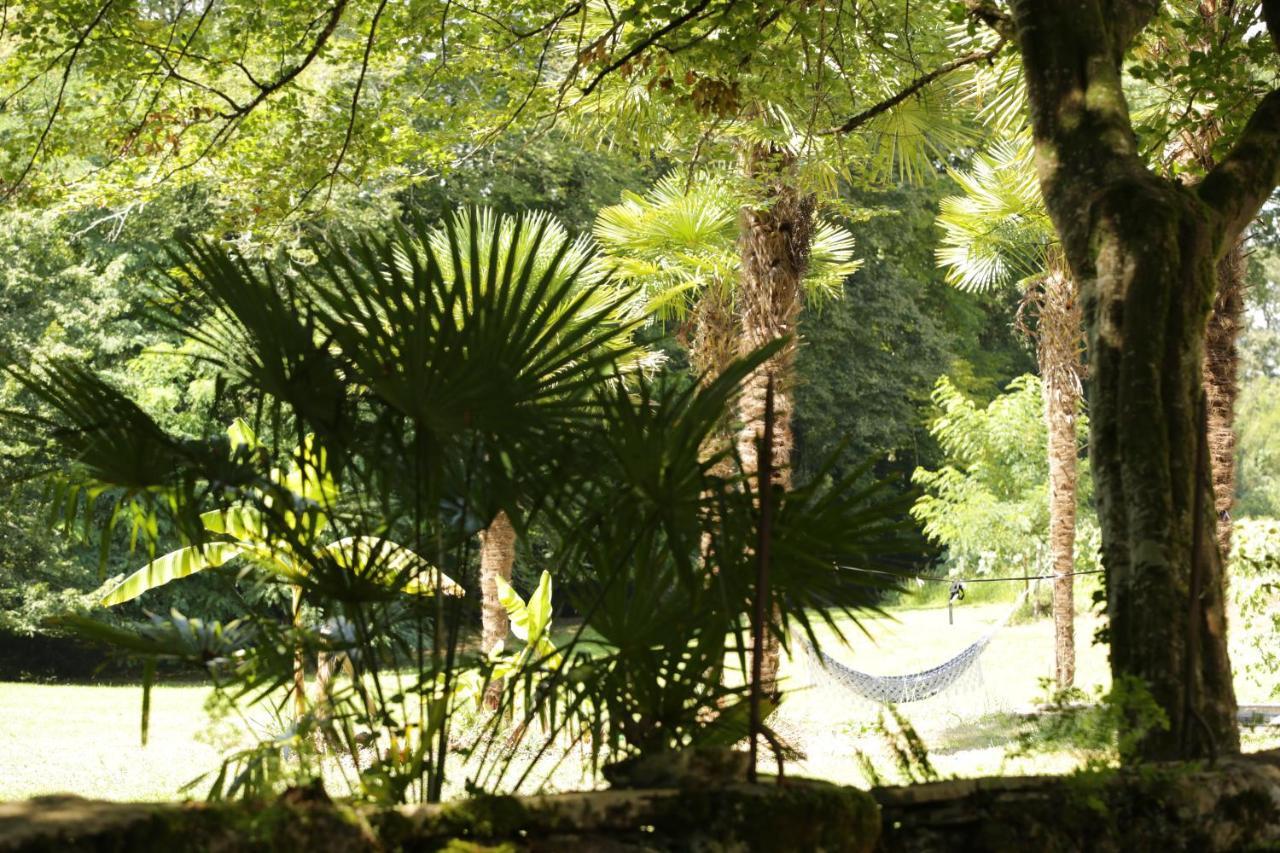 Bed & Breakfast Chateau Saint Martin