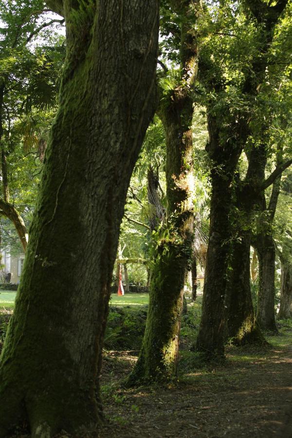 Chateau Saint Martin Bed and breakfast Pouillon