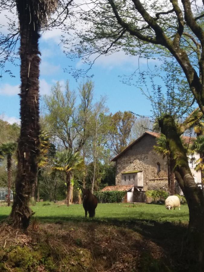 Bed & Breakfast Chateau Saint Martin Pouillon