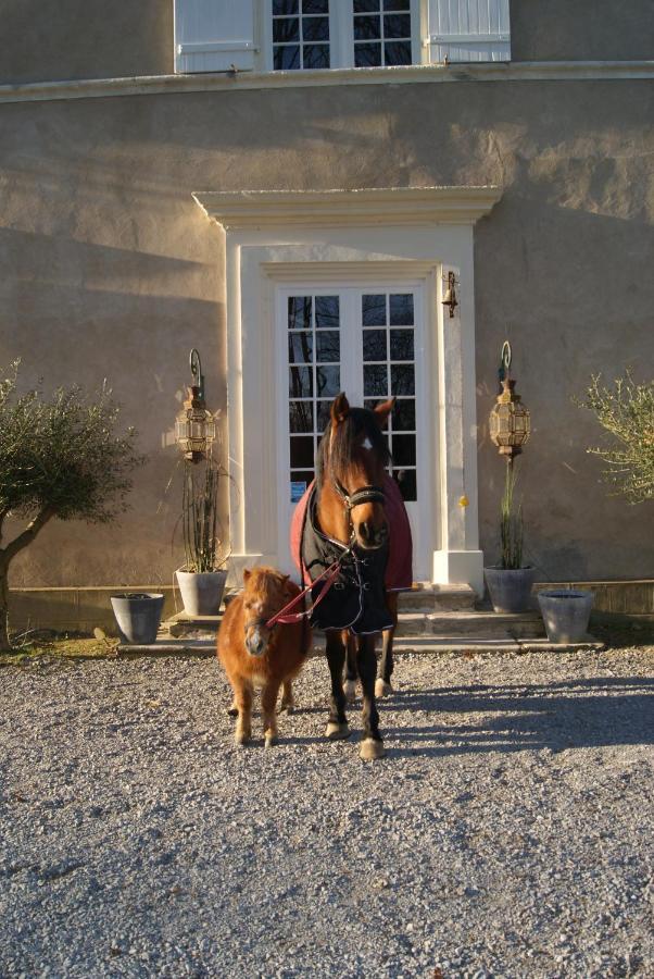 Chateau Saint Martin 3*